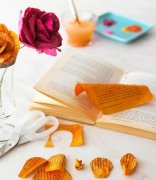 创意十足 旧杂志DIY让生活更低碳