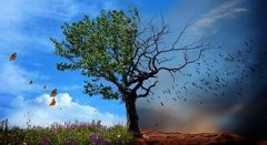 动漫电影《咕噜咕噜美人鱼》明日上映(图)