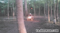 那天，牛对天思考了牛生……