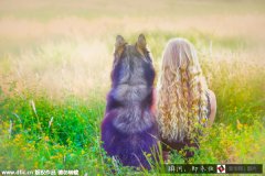 哈士奇被美女主人领养 共同旅游拍摄童话大片【高清】