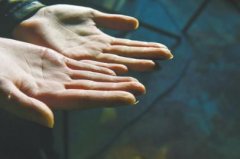 成都最美水下摄影师定格“窒息的美”(组图)