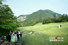 元彬李娜英婚纱照曝光 童话般唯美惹人羡(组图)（全文）