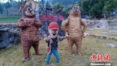 贵州余庆编扎“稻梦空间” 创意展示农耕文化(图)