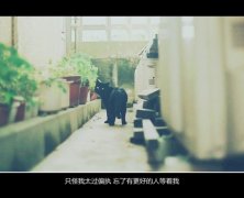 爱情伤感说说,关于爱情伤感的图片,伤感的空间文字素材 关于爱情(3)