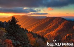 美国家地理公园发布2015年最佳照片：可爱猫头鹰卖萌