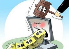 扬州动漫网站宣扬色情暴力 日点击率全球排名前5千（图）