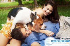 为什么男人都喜欢小情人？【图】