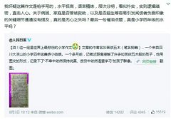 最悲伤小学作文被质疑是枪手所写 回应：有各种声音很正常（图）