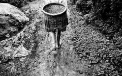 “最悲伤作文”所在地村支书斥当地因惰致贫(图)