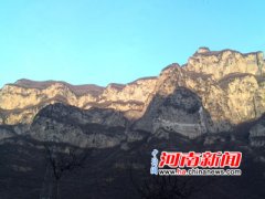 ＂猴年＂来临 济源＂猕猴王国＂给你别样快乐/图