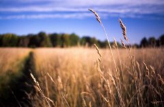 拍美女利器！佳能品牌定焦人像镜头推荐