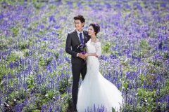 八月照相馆新人需要详细了解北京婚纱照价格