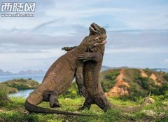 15年最震撼人心科学美图科学