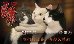 2015年它们的世界，奇妙又精彩