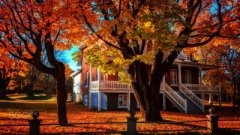 摄影美图——色彩和光影的旅行