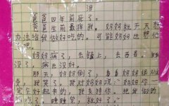 凉山官方称“最悲伤作文”系被老师改写，老师：只是改了格式(图)