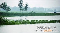 河北邯郸市磁县清理东武仕水库网箱养鱼影像记（摄影美图）