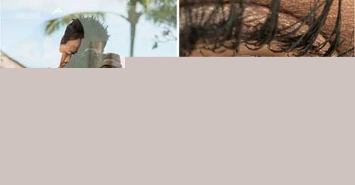 创意满分！摄影师用眼球当底片,婚纱照竟然能这样拍拒绝PS