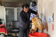 农民意外获140斤＂太岁＂ 已赚60万元