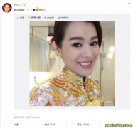 胡杏儿举行婚礼 唯美婚纱照曝光性感优雅