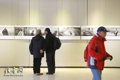 站台10人藏区主题视觉艺术展 倾听藏地深呼吸