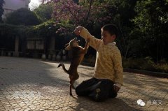 手把手教你人文摄影的抓拍艺术