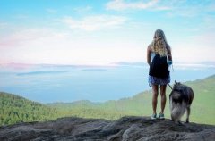 美哈士奇伴女主人旅行 书写浪漫奇缘