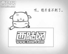 少女时代变身圣诞老人秀英身穿卫衣表情搞怪十分可爱（图）少女时代