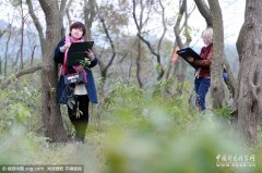 图片故事：300亿点击量背后的“动漫女孩”