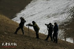 梦境高原—10人藏区主题视觉艺术展9日亮相意庄