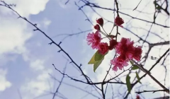 摄影师必知的色彩基础知识