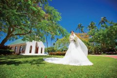 斐济主岛婚纱摄影2日环岛跟拍—奢华套餐E（中文服务+包车）