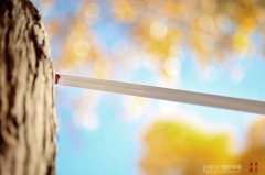 看电影学摄影 唯美人像摄影实战技巧分享（三）