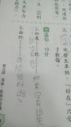 ＂由于很好吃＂学生超可爱造句,已笑抽~