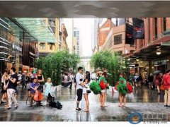 王阳明蔡诗芸大婚 摄影师偷曝婚纱美照气氛浪漫温馨