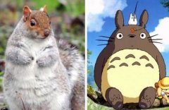 英国暖冬致松鼠身材“爆肥” 网友大呼像龙猫(组图)