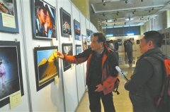 摄影佳作展览 光影美图共赏