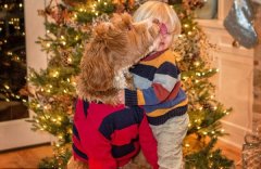 布拉多德利犬成“网红” 有6万粉丝