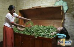 曝光!神秘的古印度女体按摩术（6）