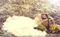 太原深度视觉提供90后韩式婚纱摄影，婚礼前的十大误区