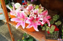 角度决定美 拍摄角度构图的诱惑力