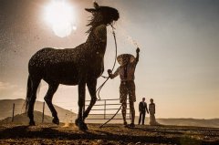 ISPWP国际婚摄比赛2015年冠军精品赏析