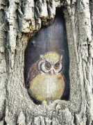 美术启蒙老师树洞作画 成冬日街边独特风景(图)