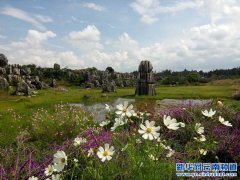 [新华网云南频道] 摄影家金秋采流行 新视觉发现