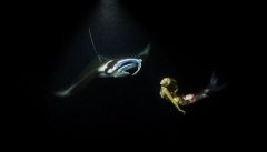 摄影师抓拍模特与蝠鲼深海梦幻起舞照片