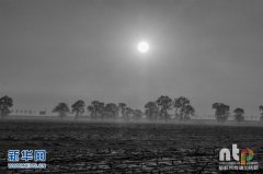 吉林雾凇岛：唯美奇特令人神往(组图)