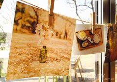 innisfree green photo tour悦诗风吟绿色韩国行