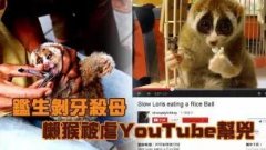 眼睛越大越美？真这样你脑子可能没地放(组图)