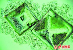 走进神秘显微摄影 不用按动相机快门教你拍摄独门秘籍