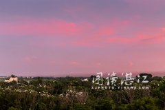 夏日雷州观白鹭